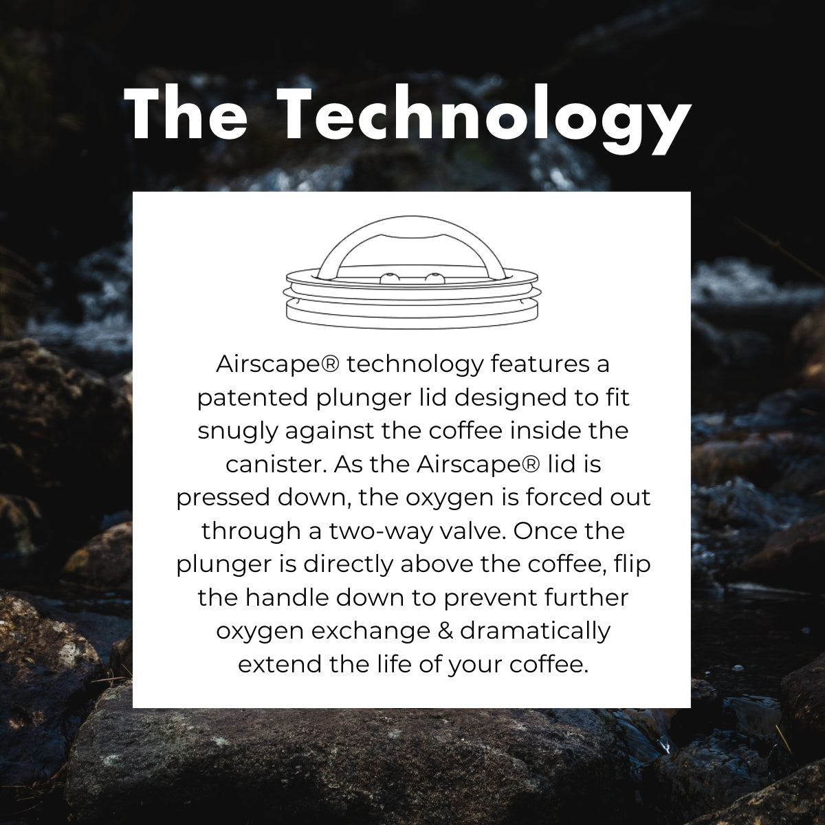 Exhale x Airscape Coffee Storage Container - 500g - Black