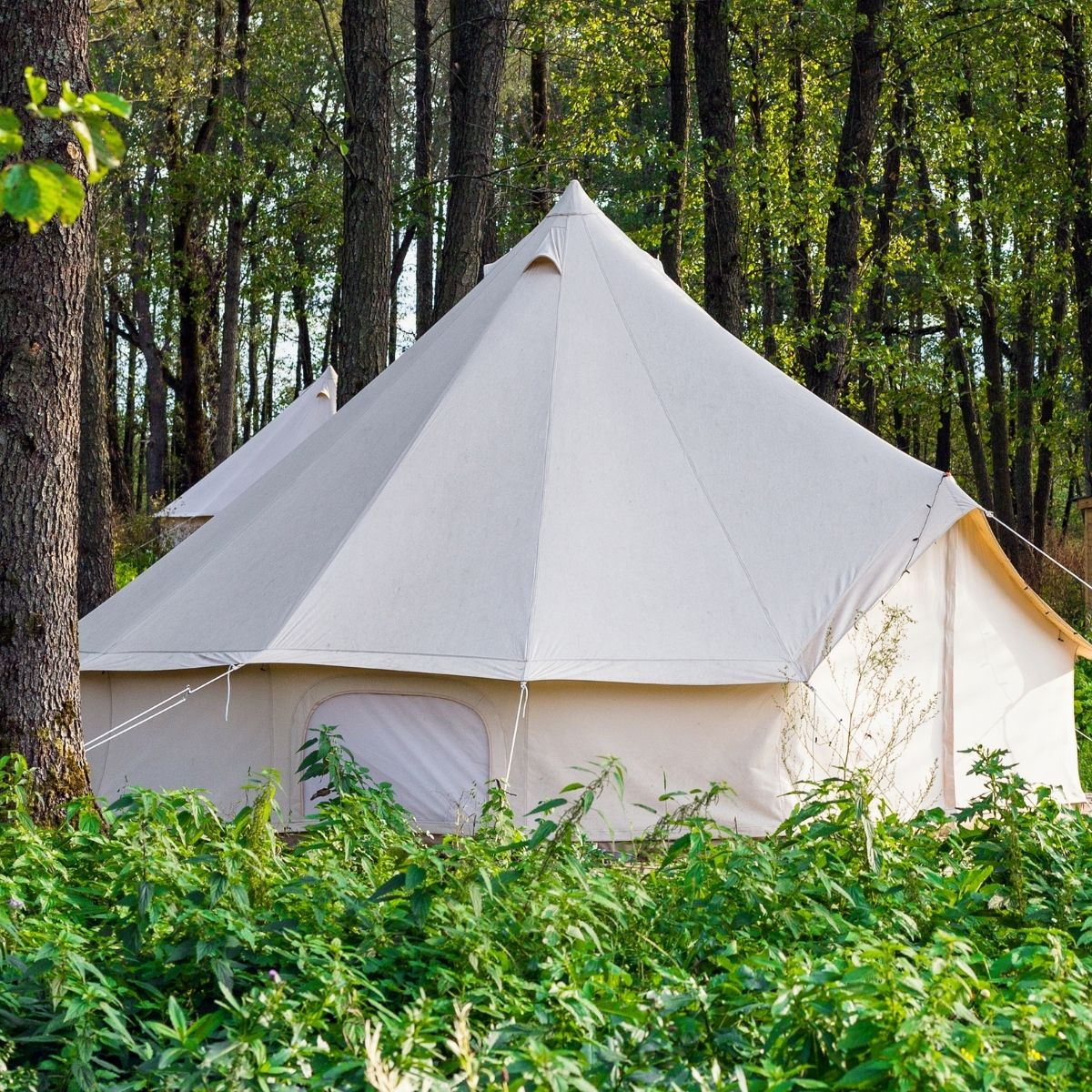 Bell tent - 2 nights