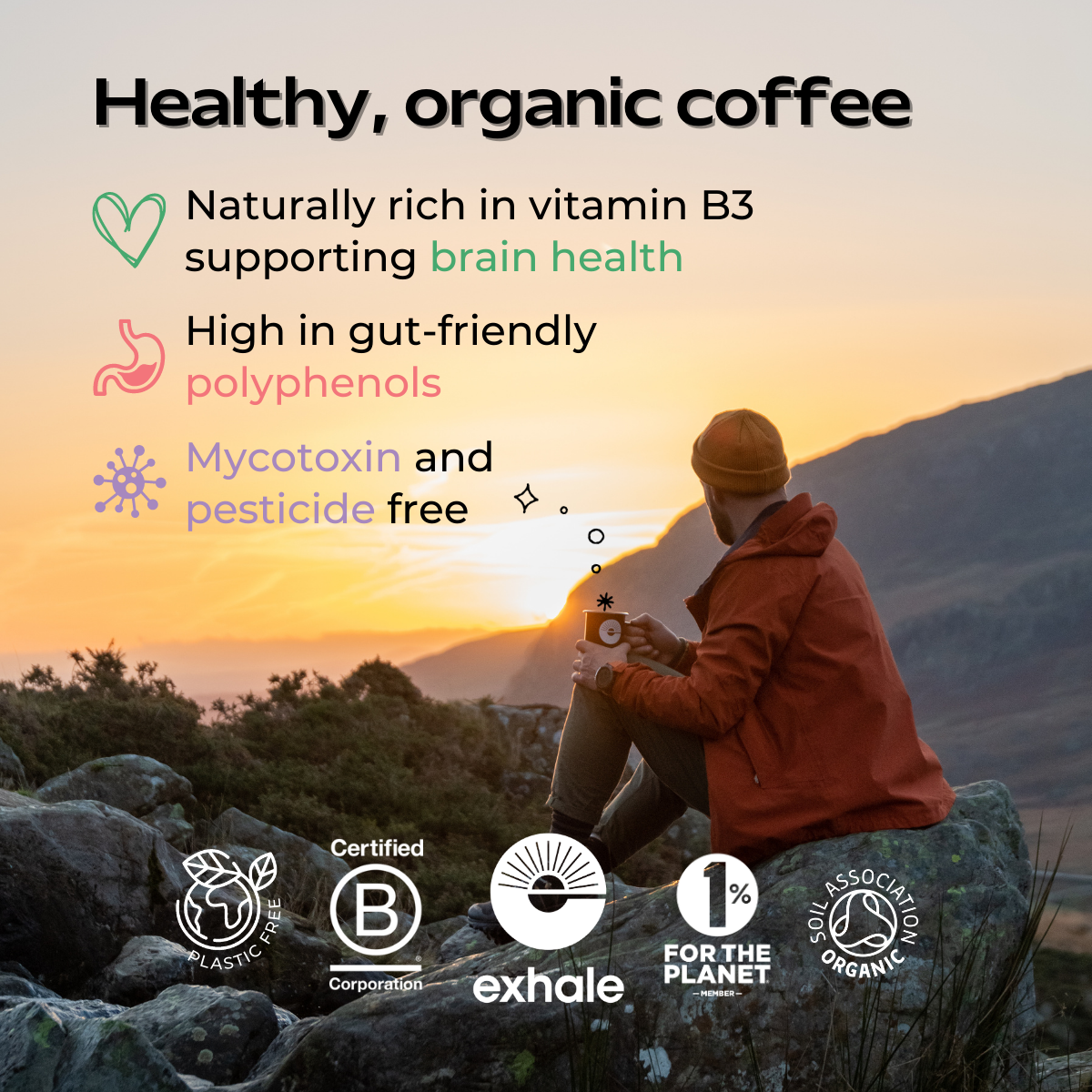 Organic Chemical-Free Decaf Coffee Exhale Healthy Coffee